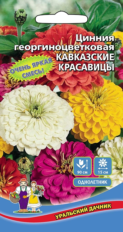 Цинния Кавказкие Красавицы Уральский Дачник