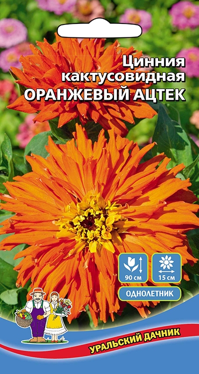 Цинния Оранжевый Ацтек кактусовидная Уральский Дачник