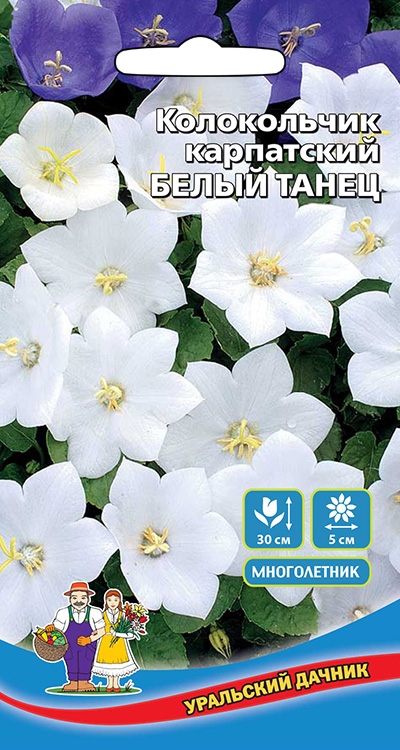 Колокольчик Белый танец карпатский Уральский Дачник