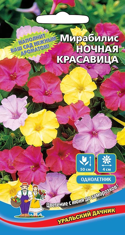 Мирабилис Ночная Красавица Уральский Дачник