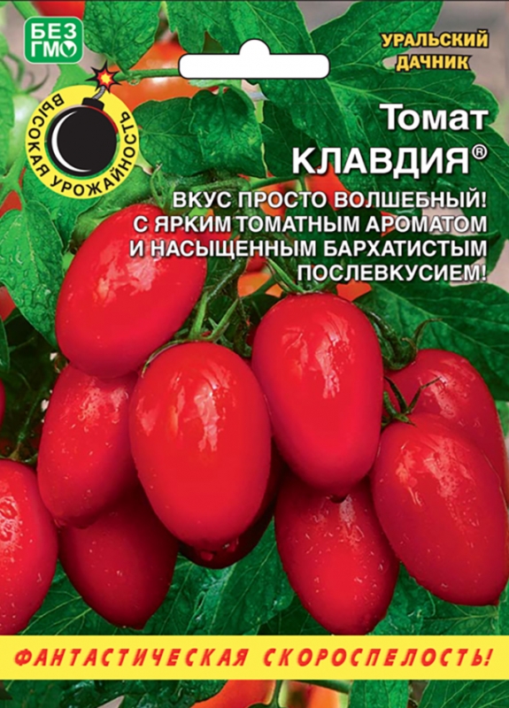 Томат Клавдия Уральский Дачник