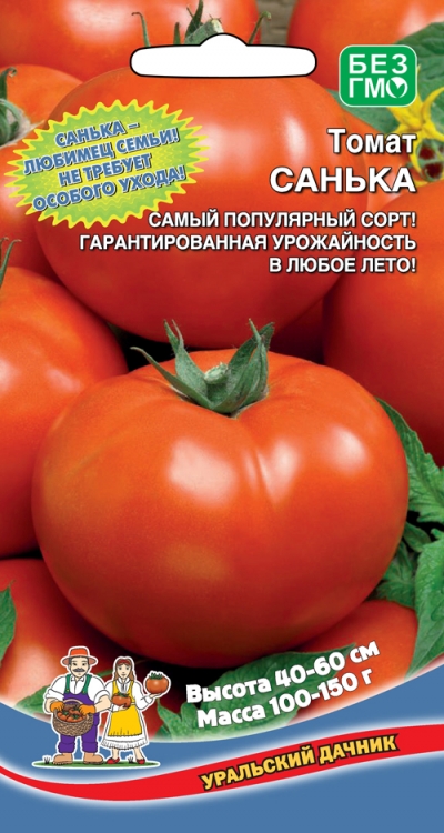 Томат Санька Уральский Дачник