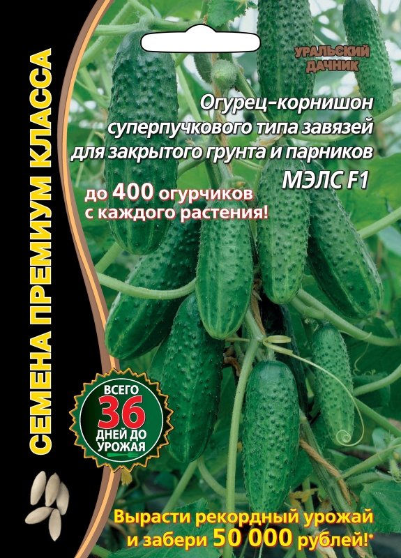 Огурец МЭЛС F1 Уральский дачник