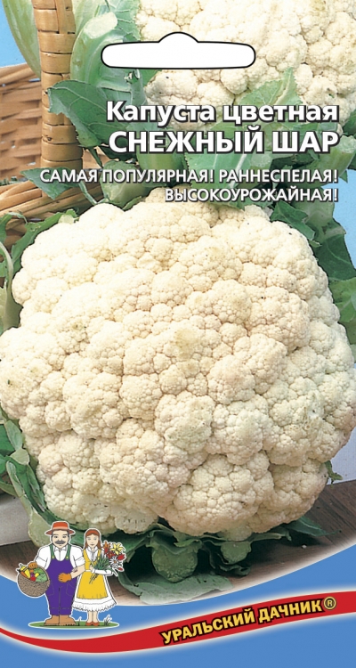 Капуста цветная Снежный шар Уральский Дачник