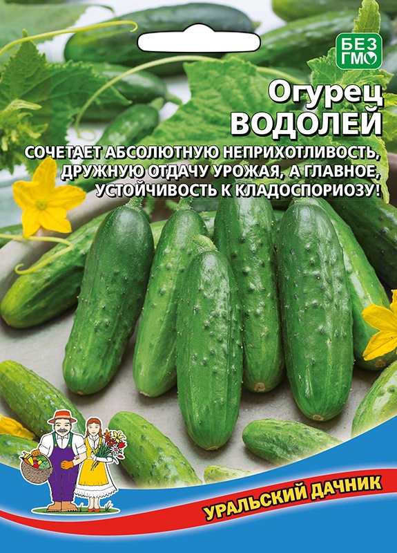 Огурец Водолей Уральский Дачник