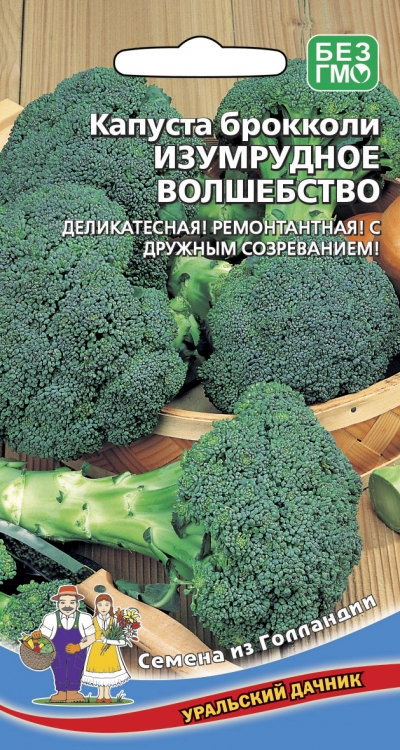 Капуста брокколи Изумрудное волшебство Уральский Дачник