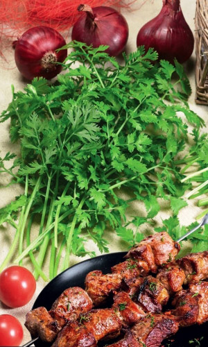 Кориандр (кинза) Шашлычный Уральский Дачник Марс белый пакет
