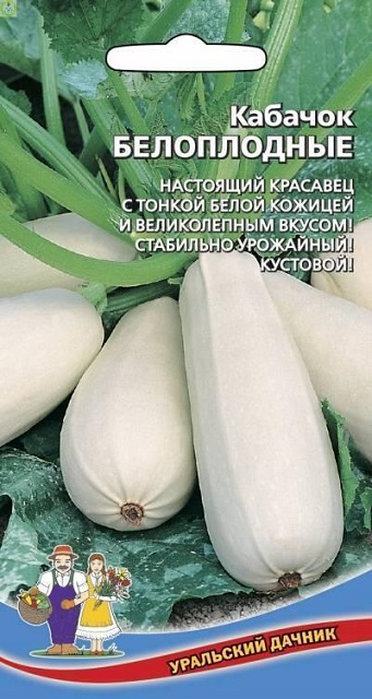 Кабачок Белоплодные  Уральский Дачник Марс